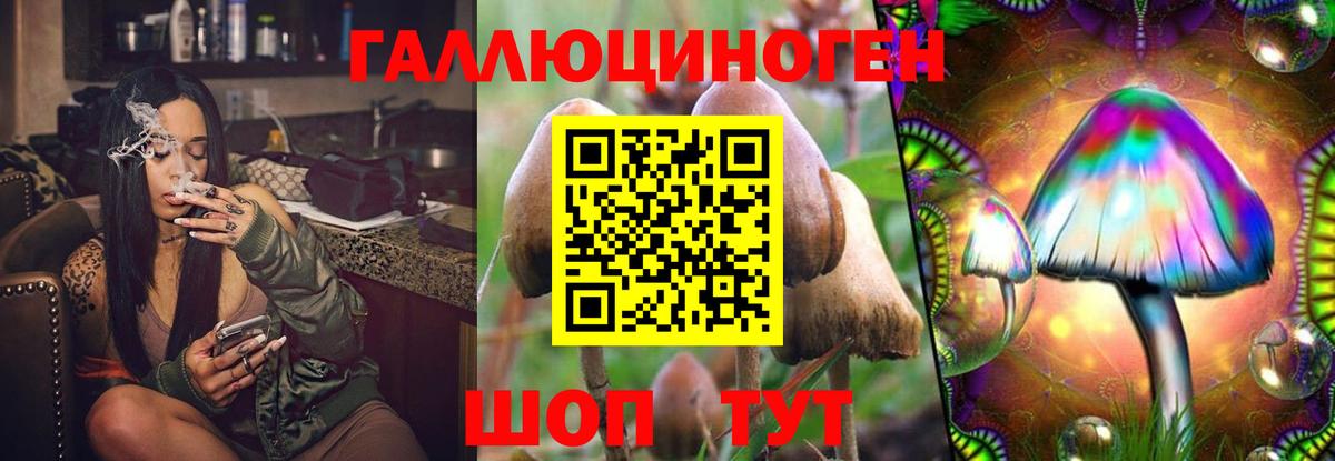 Грозный  Псилоцибиновые грибы прущие грибы  Вход с VPN  Галлюциногенные грибы Psilocybe 